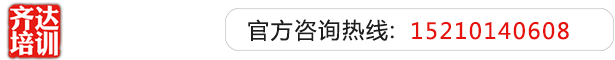 插逼毛片齐达艺考文化课-艺术生文化课,艺术类文化课,艺考生文化课logo